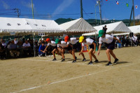s-DSC06787