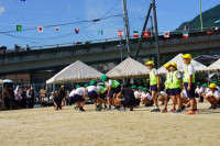 s-DSC06865