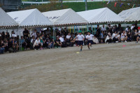 s-DSC06935
