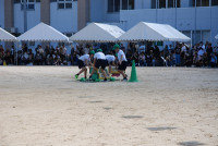 s-DSC_0376