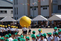 s-DSC_0670
