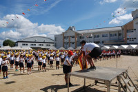 s-DSC_0689