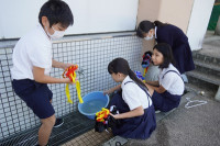 s-DSC07127