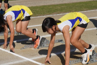 s-DSC07217