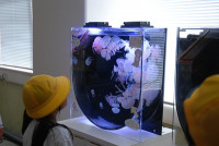 s-DSC_0051
