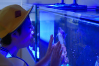 s-DSC_0068