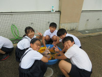 s-IMG_0753