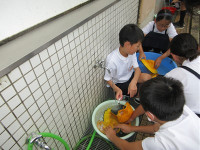 s-IMG_0768