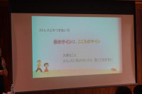 s-DSC06899