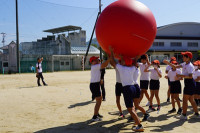 s-DSC07444