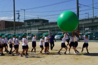 s-DSC07443