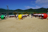 s-DSC07440