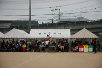 s-DSC_0646